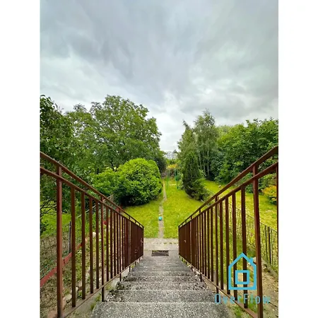 Dolphin Проживание в семье Гданьск