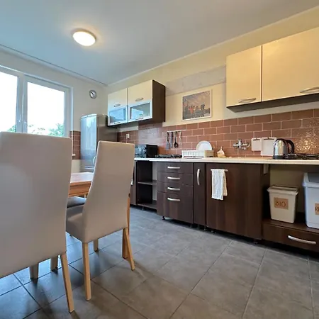 Проживание в семье Dolphin *