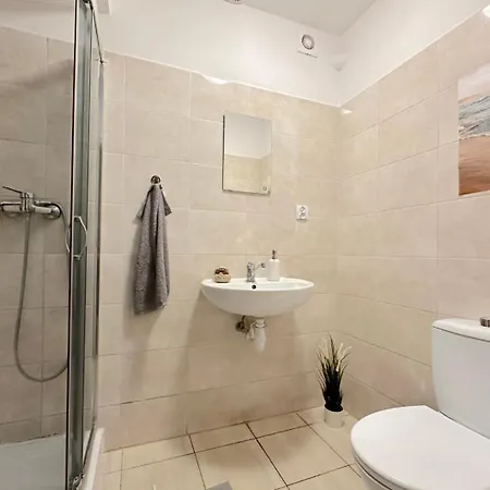 Dolphin Проживание в семье Гданьск