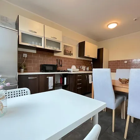 Dolphin Проживание в семье