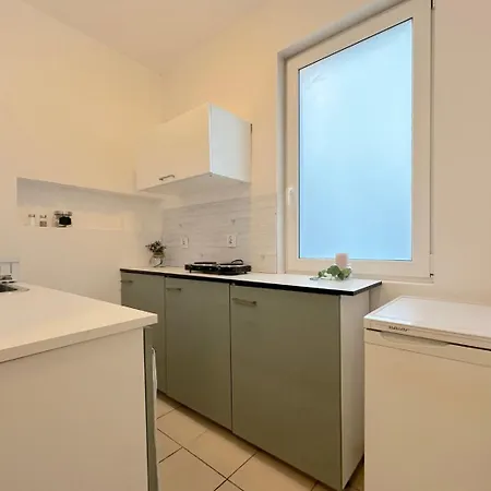 Проживание в семье Dolphin