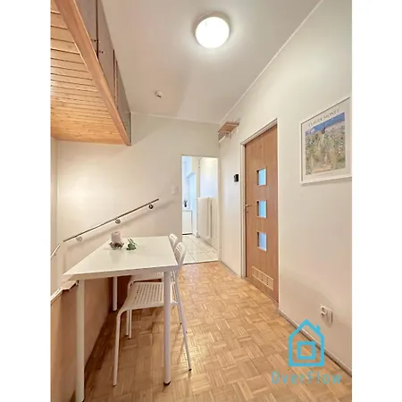 Dolphin Проживание в семье *