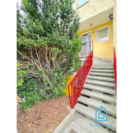 Dolphin Проживание в семье