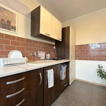 Dolphin Проживание в семье *